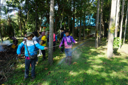 20241119103411.jpg - โครงการอบรมเชิงปฏิบัติการป้องกันและควบคุมไฟป่าในเขตพื้นที่คณะเทคโนโลยีการเกษตร | https://facagri.cmru.ac.th/web