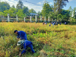 20241203111611.jpg - กิจกรรมสืบสานประเพณี เรียนรู้วิถีเกษตรกร | https://facagri.cmru.ac.th/web