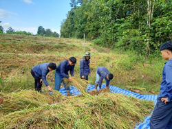 20241203111612(1).jpg - กิจกรรมสืบสานประเพณี เรียนรู้วิถีเกษตรกร | https://facagri.cmru.ac.th/web