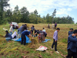 20241203111612(2).jpg - กิจกรรมสืบสานประเพณี เรียนรู้วิถีเกษตรกร | https://facagri.cmru.ac.th/web