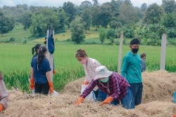 20211029021802.jpg - การอบรมการจัดการระบบนิเวศแปลงเกษตรเพื่อเป็นพื้นที่อาหารปลอดภัยตามมาตรฐานประเทศไทย | http://www.facagri.cmru.ac.th/web