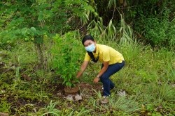 20210809092319.jpg - กิจกรรมวันต้นไม้ประจำปีของชาติ “รวมใจไทย ปลูกต้นไม้ เพื่อแผ่นดิน” สืบสานสู่ 100 ล้านต้น | https://facagri.cmru.ac.th/web