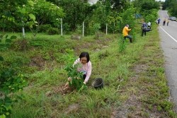 20210809092323.jpg - กิจกรรมวันต้นไม้ประจำปีของชาติ “รวมใจไทย ปลูกต้นไม้ เพื่อแผ่นดิน” สืบสานสู่ 100 ล้านต้น | https://facagri.cmru.ac.th/web