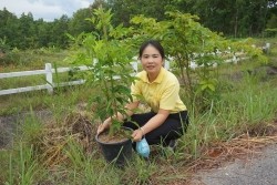 20210809092336.jpg - กิจกรรมวันต้นไม้ประจำปีของชาติ “รวมใจไทย ปลูกต้นไม้ เพื่อแผ่นดิน” สืบสานสู่ 100 ล้านต้น | https://facagri.cmru.ac.th/web