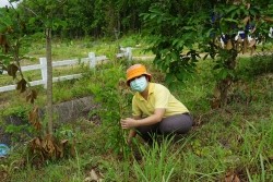 20210809092341.jpg - กิจกรรมวันต้นไม้ประจำปีของชาติ “รวมใจไทย ปลูกต้นไม้ เพื่อแผ่นดิน” สืบสานสู่ 100 ล้านต้น | https://facagri.cmru.ac.th/web