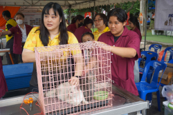 20240705141538.jpg - จัดบูทนิทรรศการ ครบรอบ 100 ปี มหาวิทยาลัยราชภัฏเชียงใหม่ | https://facagri.cmru.ac.th/web