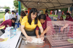 20240705141541.jpg - จัดบูทนิทรรศการ ครบรอบ 100 ปี มหาวิทยาลัยราชภัฏเชียงใหม่ | https://facagri.cmru.ac.th/web