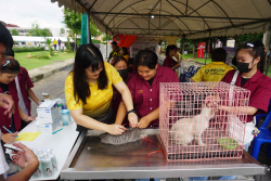 20240705141543.jpg - จัดบูทนิทรรศการ ครบรอบ 100 ปี มหาวิทยาลัยราชภัฏเชียงใหม่ | https://facagri.cmru.ac.th/web