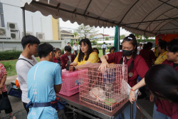 20240705141549.jpg - จัดบูทนิทรรศการ ครบรอบ 100 ปี มหาวิทยาลัยราชภัฏเชียงใหม่ | https://facagri.cmru.ac.th/web