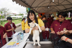 20240705141600.jpg - จัดบูทนิทรรศการ ครบรอบ 100 ปี มหาวิทยาลัยราชภัฏเชียงใหม่ | https://facagri.cmru.ac.th/web