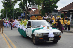 20240706140941.jpg - ขบวนพาเหรด 100 ปี CMRU Carnival | https://facagri.cmru.ac.th/web