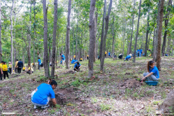 20240710200011(1).jpg - ร่วมเทิดพระเกียรติ พระบาทสมเด็จพระเจ้าอยู่หัว และการปลูกต้นไม้ถวายเป็นพระราชกุศล | https://facagri.cmru.ac.th/web