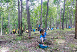 20240710200011(2).jpg - ร่วมเทิดพระเกียรติ พระบาทสมเด็จพระเจ้าอยู่หัว และการปลูกต้นไม้ถวายเป็นพระราชกุศล | https://facagri.cmru.ac.th/web