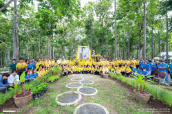 20240710200016(5).jpg - ร่วมเทิดพระเกียรติ พระบาทสมเด็จพระเจ้าอยู่หัว และการปลูกต้นไม้ถวายเป็นพระราชกุศล | https://facagri.cmru.ac.th/web