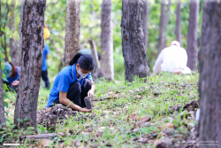 20240710200017(2).jpg - ร่วมเทิดพระเกียรติ พระบาทสมเด็จพระเจ้าอยู่หัว และการปลูกต้นไม้ถวายเป็นพระราชกุศล | https://facagri.cmru.ac.th/web