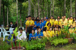 20240710200023.jpg - ร่วมเทิดพระเกียรติ พระบาทสมเด็จพระเจ้าอยู่หัว และการปลูกต้นไม้ถวายเป็นพระราชกุศล | https://facagri.cmru.ac.th/web