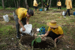 20240710200026.jpg - ร่วมเทิดพระเกียรติ พระบาทสมเด็จพระเจ้าอยู่หัว และการปลูกต้นไม้ถวายเป็นพระราชกุศล | https://facagri.cmru.ac.th/web