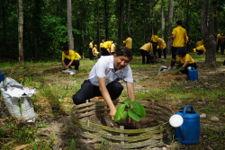 20240710200028.jpg - ร่วมเทิดพระเกียรติ พระบาทสมเด็จพระเจ้าอยู่หัว และการปลูกต้นไม้ถวายเป็นพระราชกุศล | https://facagri.cmru.ac.th/web