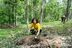 20240710200034.jpg - ร่วมเทิดพระเกียรติ พระบาทสมเด็จพระเจ้าอยู่หัว และการปลูกต้นไม้ถวายเป็นพระราชกุศล | https://facagri.cmru.ac.th/web