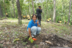 20240710200037.jpg - ร่วมเทิดพระเกียรติ พระบาทสมเด็จพระเจ้าอยู่หัว และการปลูกต้นไม้ถวายเป็นพระราชกุศล | https://facagri.cmru.ac.th/web