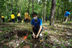 20240710200038.jpg - ร่วมเทิดพระเกียรติ พระบาทสมเด็จพระเจ้าอยู่หัว และการปลูกต้นไม้ถวายเป็นพระราชกุศล | https://facagri.cmru.ac.th/web