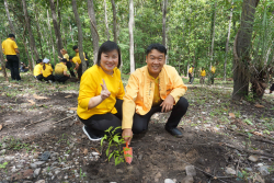 20240710200042.jpg - ร่วมเทิดพระเกียรติ พระบาทสมเด็จพระเจ้าอยู่หัว และการปลูกต้นไม้ถวายเป็นพระราชกุศล | https://facagri.cmru.ac.th/web