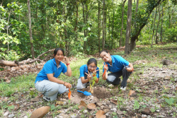 20240710200044.jpg - ร่วมเทิดพระเกียรติ พระบาทสมเด็จพระเจ้าอยู่หัว และการปลูกต้นไม้ถวายเป็นพระราชกุศล | https://facagri.cmru.ac.th/web