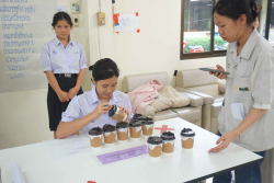 20240911154437.jpg - การแข่งขันทักษะด้านเทคโนโลยีการเกษตร | https://facagri.cmru.ac.th/web
