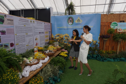 20241128093422(2).jpg - งานวันเกษตรแห่งชาติ ประจำปี 2567 | https://facagri.cmru.ac.th/web