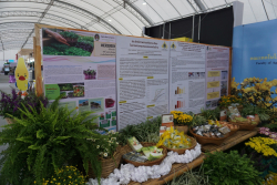 20241128093425(1).jpg - งานวันเกษตรแห่งชาติ ประจำปี 2567 | https://facagri.cmru.ac.th/web