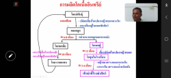 20241209110048(3).jpg - การผลิตโคเนื้ออินทรีย์ (Organic KU Beef) | https://facagri.cmru.ac.th/web