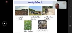 20241209110048(4).jpg - การผลิตโคเนื้ออินทรีย์ (Organic KU Beef) | https://facagri.cmru.ac.th/web