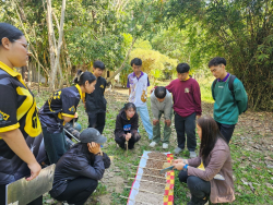 20250122085143(4).jpg - อบรมการสำรวจดิน | https://facagri.cmru.ac.th/web