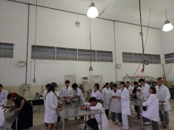 20250204091926.jpg - ปฏิบัติการแปรรูปแหนมหมู | https://facagri.cmru.ac.th/web