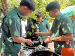 20250217213135(2).jpg - แสดงความยินดีกับนักศึกษา ได้รับรางวัลรองชนะเลิศอันดับที่ 2 การเข้าร่วมแข่งขันการจัดสวนถาดแบบชื้น | https://facagri.cmru.ac.th/web
