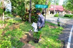 20210818065228.jpg - กิจกรรมวันต้นไม้ประจำปีของชาติ “รวมใจไทย ปลูกต้นไม้ เพื่อแผ่นดิน” สืบสานสู่ล้านต้น | https://facagri.cmru.ac.th/web