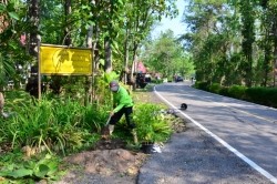 20210818065230.jpg - กิจกรรมวันต้นไม้ประจำปีของชาติ “รวมใจไทย ปลูกต้นไม้ เพื่อแผ่นดิน” สืบสานสู่ล้านต้น | https://facagri.cmru.ac.th/web