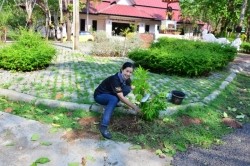 20210818065232(1).jpg - กิจกรรมวันต้นไม้ประจำปีของชาติ “รวมใจไทย ปลูกต้นไม้ เพื่อแผ่นดิน” สืบสานสู่ล้านต้น | https://facagri.cmru.ac.th/web
