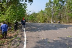20210818065232.jpg - กิจกรรมวันต้นไม้ประจำปีของชาติ “รวมใจไทย ปลูกต้นไม้ เพื่อแผ่นดิน” สืบสานสู่ล้านต้น | https://facagri.cmru.ac.th/web