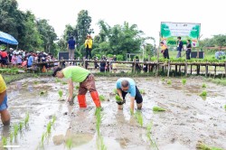 20231227143230(11).jpg - กิจกรรม ปลูกข้าว ปลูกลาน สืบสานสายใย วิถีไทย วิถีพอเพียง | https://facagri.cmru.ac.th/web