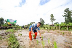 20231227143230(12).jpg - กิจกรรม ปลูกข้าว ปลูกลาน สืบสานสายใย วิถีไทย วิถีพอเพียง | https://facagri.cmru.ac.th/web