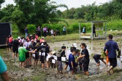 20231227143254.jpg - กิจกรรม ปลูกข้าว ปลูกลาน สืบสานสายใย วิถีไทย วิถีพอเพียง | https://facagri.cmru.ac.th/web