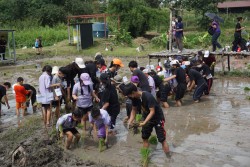 20231227143255.jpg - กิจกรรม ปลูกข้าว ปลูกลาน สืบสานสายใย วิถีไทย วิถีพอเพียง | https://facagri.cmru.ac.th/web