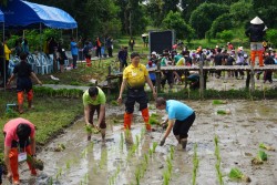 20231227143300.jpg - กิจกรรม ปลูกข้าว ปลูกลาน สืบสานสายใย วิถีไทย วิถีพอเพียง | https://facagri.cmru.ac.th/web