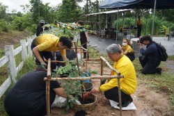 20231228121711.jpg - กิจกรรมวันต้นไม้ประจำปีของชาติ พ.ศ.2566 | https://facagri.cmru.ac.th/web