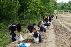 20231228121732.jpg - กิจกรรมวันต้นไม้ประจำปีของชาติ พ.ศ.2566 | https://facagri.cmru.ac.th/web