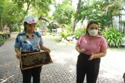 20240102151950.jpg - ศึกษาดูงาน Big Bee Farm  | https://facagri.cmru.ac.th/web