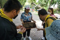 20240102151954.jpg - ศึกษาดูงาน Big Bee Farm  | https://facagri.cmru.ac.th/web