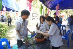 20240209135021.jpg - การแข่งขันทักษะทางวิชาชีพการจัดสวนถาด | https://facagri.cmru.ac.th/web